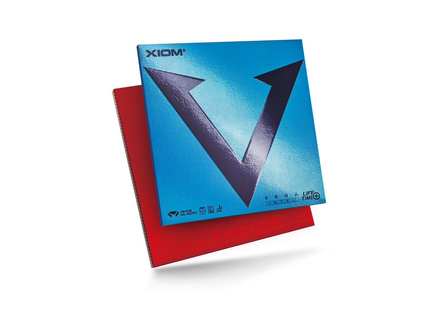 GOMA VEGA INTRO